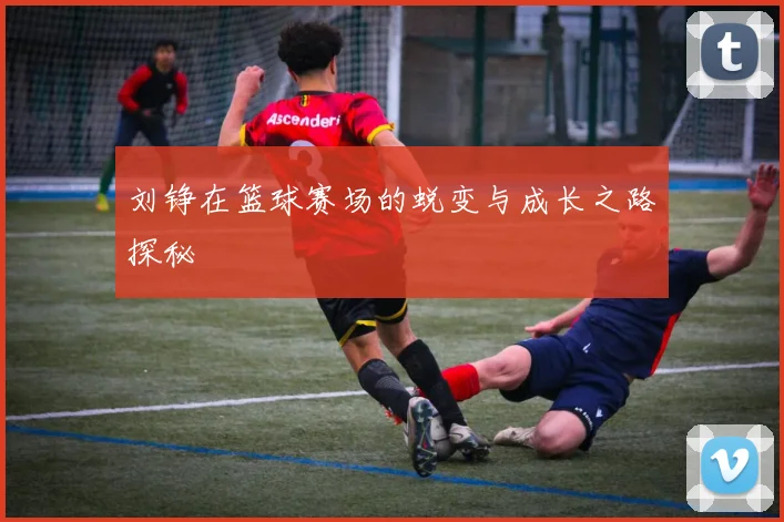 刘铮在篮球赛场的蜕变与成长之路探秘